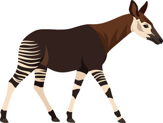 Okapi walking side profile with striped legs, gentle stride, flat vector illustration © Kerem
