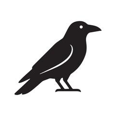 Fototapeta premium Black raven bird silhouette graphic with silhouette wildlife isolated feathers creature standing