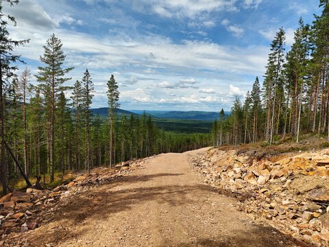 Gravel forest road on Gesundaberget, Dalarna, Sweden, leading through a scenic pine forest with panoramic views of rolling hills under a dramatic blue sky with clouds. Peaceful Nordic wilderness lands