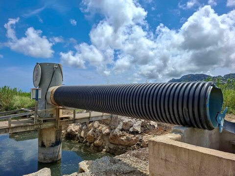 Large black plastic pipe for agricultural irrigation in Pego Oliva Marsh, Spain supports Bomba rice growth
