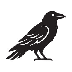 Fototapeta premium Detailed black silhouette of a sitting raven bird with a crisp vector graphic illustration