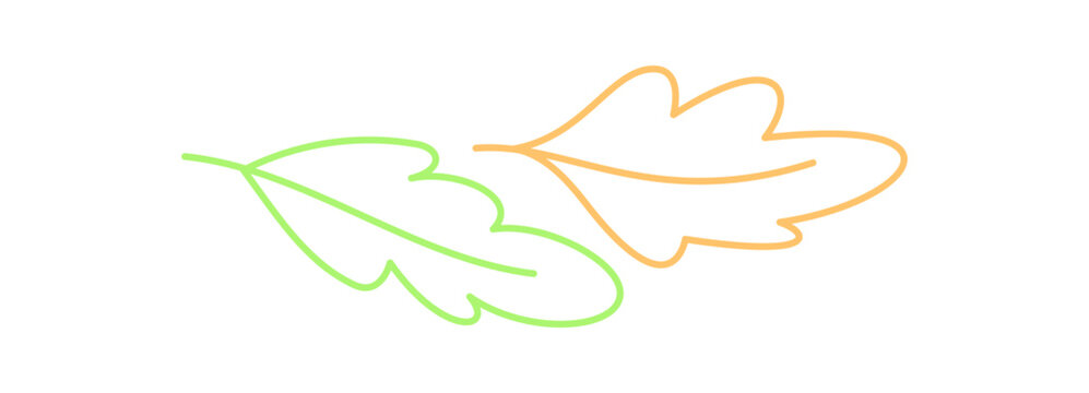Leaf icon in line doodle style with color accents. Nature and forest leaf symbol for camp and outdoor camping themes. Tree color details create a unique icon for camp nature holiday use.