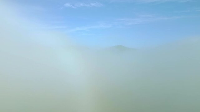 An aerial view captures a serene landscape where lush green forests meet a sea of clouds, creating a tranquil and picturesque scenery.