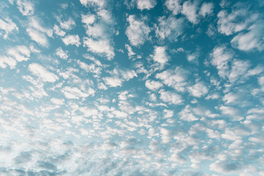 Sky Full of Puffy Clouds