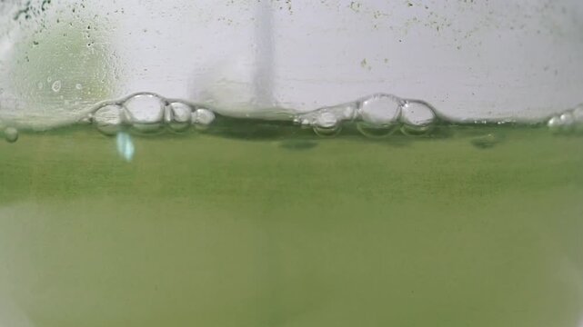 A detailed macro shot of a vibrant green microalgae (phytoplankton) culture being aerated inside a laboratory vessel, showing small bubbles forming along the surface of the chlorophyll-rich medium.