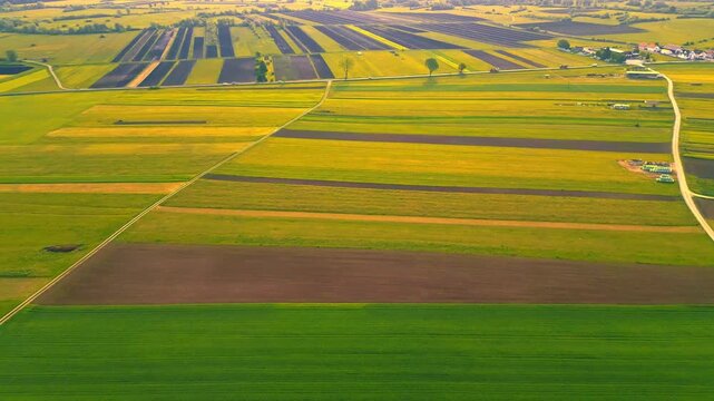 An aerial view captures the serene, patchwork landscape of lush fields, bordered by winding roads, under a vast sky. The tranquility of rural scenery unfolds, with vibrant greens and golden hues.