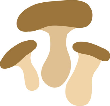 버섯