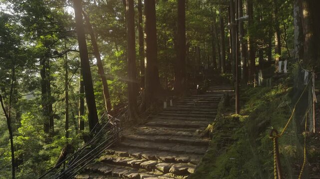 Approach Path to Nachi Waterfall and Hirou Shrine, Kumano Kodo World Heritage, Nachikatsuura, Wakayama, Japan　世界遺産・熊野古道「那智の滝・飛瀧(ひろう)神社の参道」和歌山県那智勝浦町