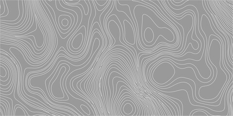 Grey topographic map background with white elevation contour lines, abstract geographic pattern, seamless vector design. Modern, minimalist geographic pattern, land elevation maps © Creative Arts