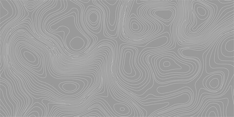 Grey topographic map background with white elevation contour lines, abstract geographic pattern, seamless vector design. Modern, minimalist geographic pattern, land elevation maps © Creative Arts
