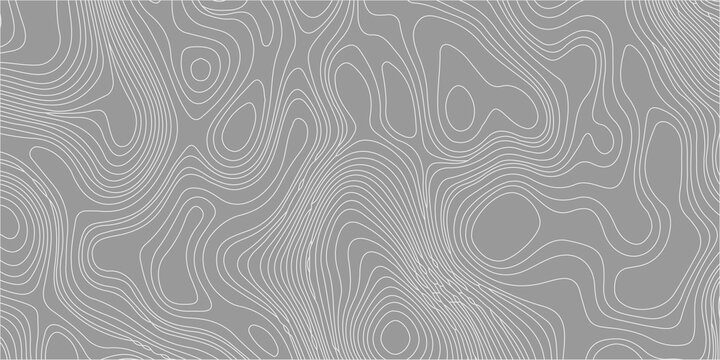 Grey topographic map background with white elevation contour lines, abstract geographic pattern, seamless vector design. Modern, minimalist geographic pattern, land elevation maps