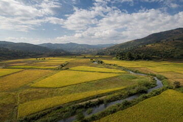 Obraz premium 広い稲田と用水路が広がる秋の山あいの風景