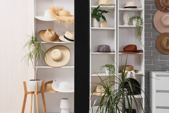 Stylish collection of various hats and indoor plants displayed on white shelves in a modern home interior