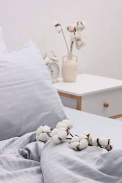 Cotton flowers with grey blanket on bed in room, closeup
