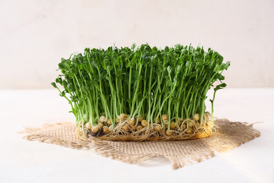 Fresh micro green on white grunge background, closeup