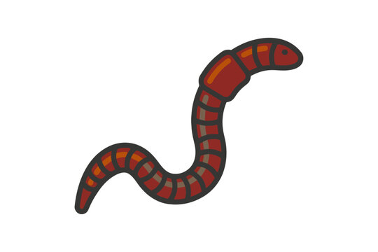 Earthworm Vector Illustration