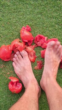 Top-down view of bare feet stomping and crushing fresh red tomatoes on the grass, mashing them into a messy pulp