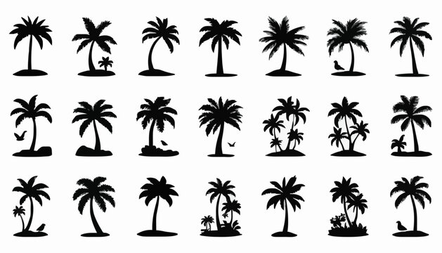 Collection of Tropical Palm Tree Island Silhouette Icons Vector Set