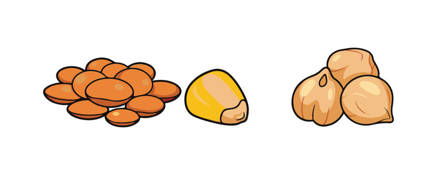 Colorful bean illustration set isolated on white for healthy eating and farming concepts.