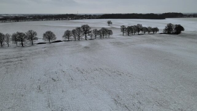 Aerial view over snow covered rural landscape with row of bare trees in winter.