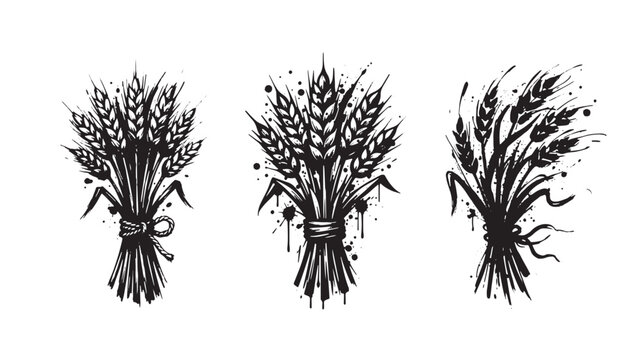 Three hand-drawn ink of wheat sheaves with ink splatters and drips on a graffiti white background, agricultural harvest concept for projects