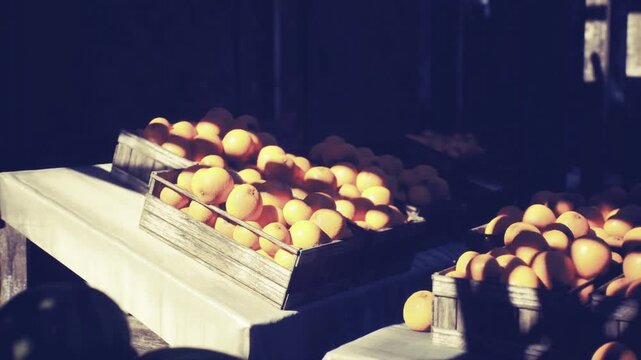 Sunlit orange crates on sidewalk, vendor arranging produce, warm lateafternoon glow casting dramatic shadows, wooden table stacked with ripe fruit, textured