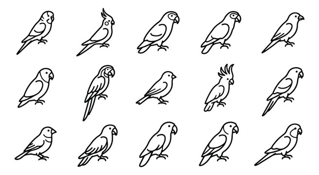 Minimalist parrot line icons, 15 tropical bird vector set, exotic pet outline illustrations