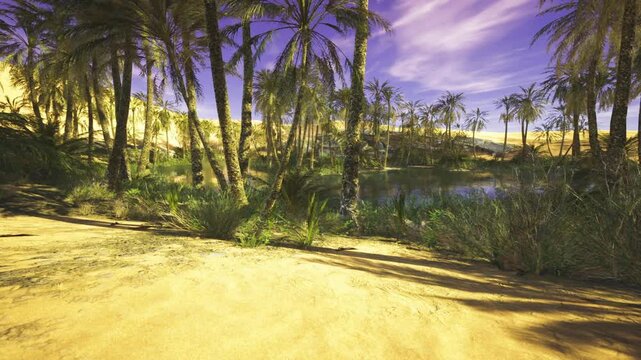 Bright oasis under twilight sky. Colorful Liwa oasis with peaceful desert atmosphere. Lively oasis in Liwa with twilight glow and tranquil environment