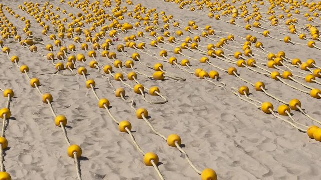 Hundreds of Yellow Beach Buoys on braided rope in Rows Drying on Sandy Beach
