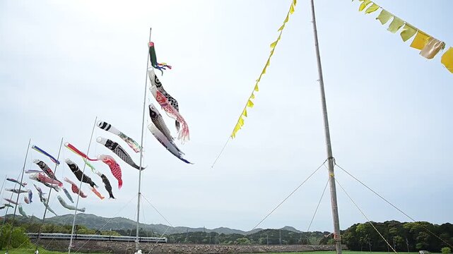鯉のぼりが泳ぐ琵琶湖線を迂回運転する特急サンダーバード （東海道本線 野洲～篠原, 2026年4月）