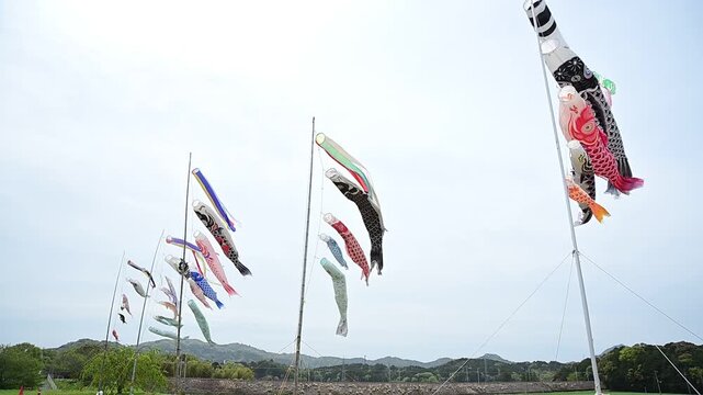 鯉のぼりが泳ぐ琵琶湖線を迂回運転する特急サンダーバード （東海道本線 野洲～篠原, 2026年4月）