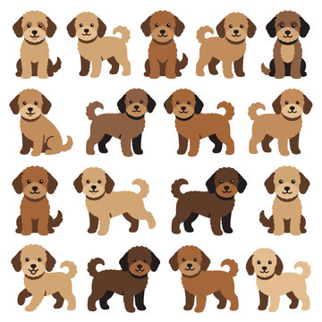 Collection of adorable puppies in various brown tones
