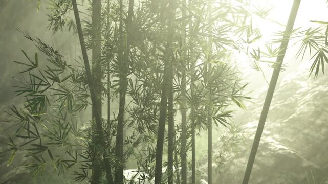 bamboo grove sunlit valley morning rays, thin trunks rise beside rocky slope with golden highlights, cool shade pockets and quiet meditative energy.