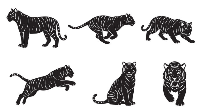Black and White Tiger Vector Silhouettes Set with Animal Poses for Graphic Design and Mascot Use