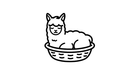 Fluffy white alpaca resting in a woven basket. © Wahyu