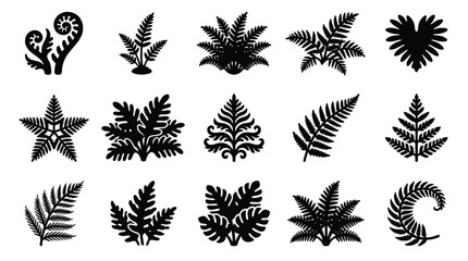 Collection of various black fern leaf silhouettes and decorative elements. © yuanita