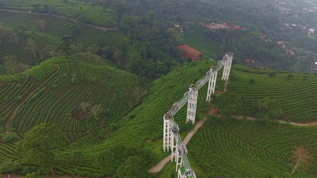 Aerial drone view of glass skywalk bridge over tea plantation in Kemuning Hill, Indonesia. Scenic highland tourism and travel footage.