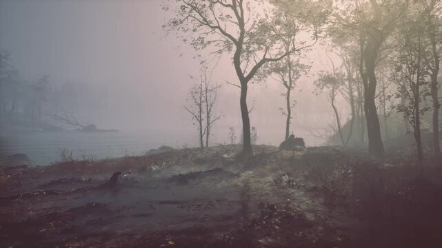 Sunlit riverside grove at dawn, golden haze lifting from shoreline, warm glow, slender trees casting long shadows, soft reflections on water, textured mud