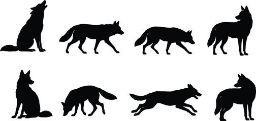 Obraz premium Set of Wolf Silhouettes in Various Natural Poses Including Howling, Walking, and Running