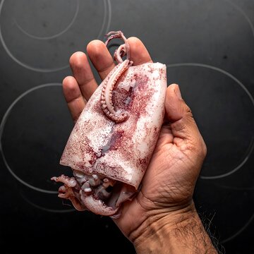 A hand holds a raw squid against a dark background