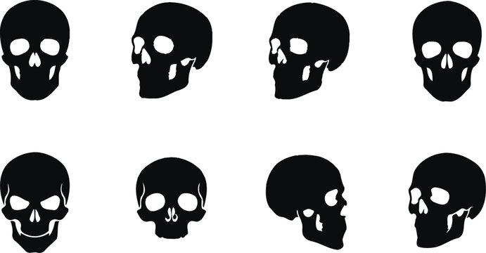 Human Skull Halloween Silhouette Vector Bundle With Front and Side View Skull Designs for Cricut Crafts, Sublimation, Laser Cut, Printable Clipart, and Digital Download