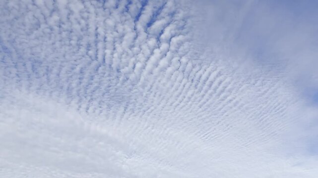 blue sky, white clouds, cloudy sky, ripple clouds, cloud pattern, textured sky, mackerel sky, wave clouds, soft clouds, dramatic sky, peaceful sky, sky background, cloud background, blue cloudscape, n