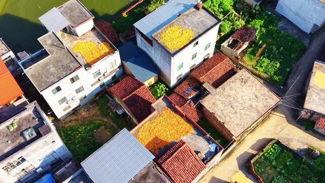  Sun-Dried Rice and Corn on Rooftops and Courtyards in Guangxi Village, Aerial View 