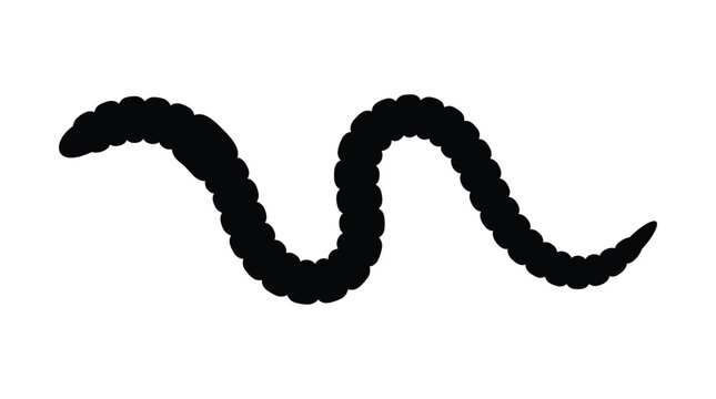 Worm shaped black silhouette against a white background a simple organic form silhouette
