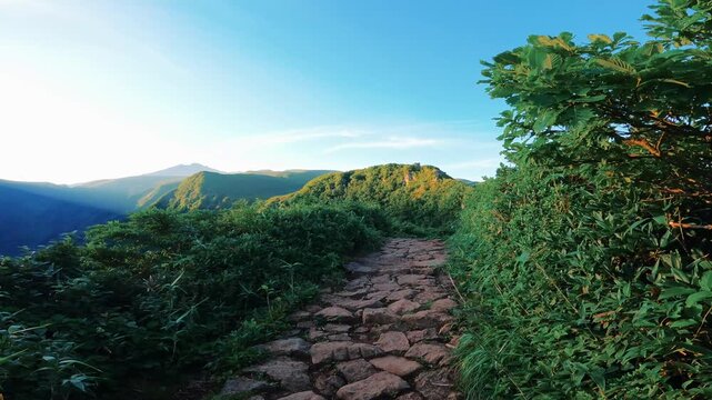 日本百名山の鳥海山の登山道