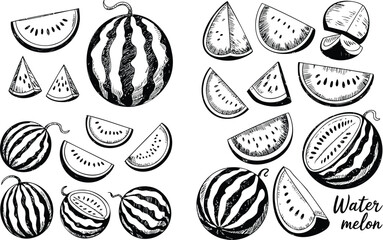 Obraz premium Rustic hand drawn black and white watermelon illustration collection with diverse cuts and whole fruit
