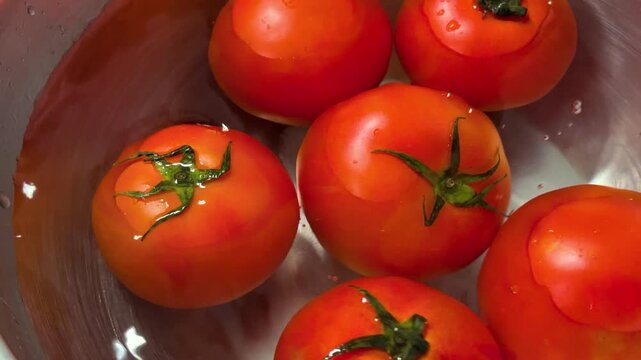 A dynamic, high-angle close-up shot capturing a fresh red tomato splashing into a stainless steel bowl filled with clear water and other ripe tomatoes.