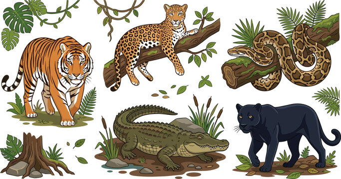 Vector illustration of jungle wild animals set featuring tiger leopard python snake crocodile and black panther for children education or nature branding
