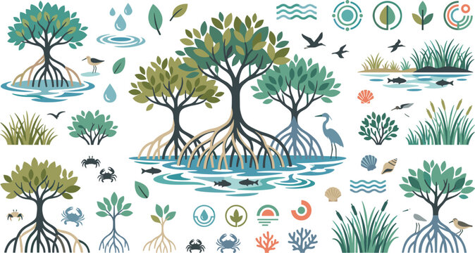Vector illustration set of mangrove ecosystem elements with roots coastal wildlife and swamp plants for environmental conservation marketing and science education graphics