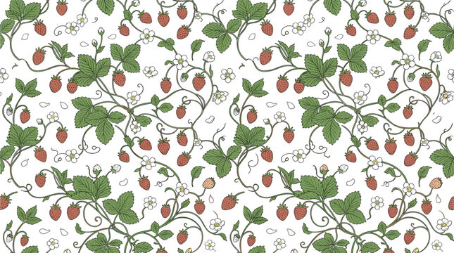 Vintage strawberry seamless pattern vector illustration with hand drawn wild berries winding vines flowers and green leaves for kitchen textile fabric wallpaper